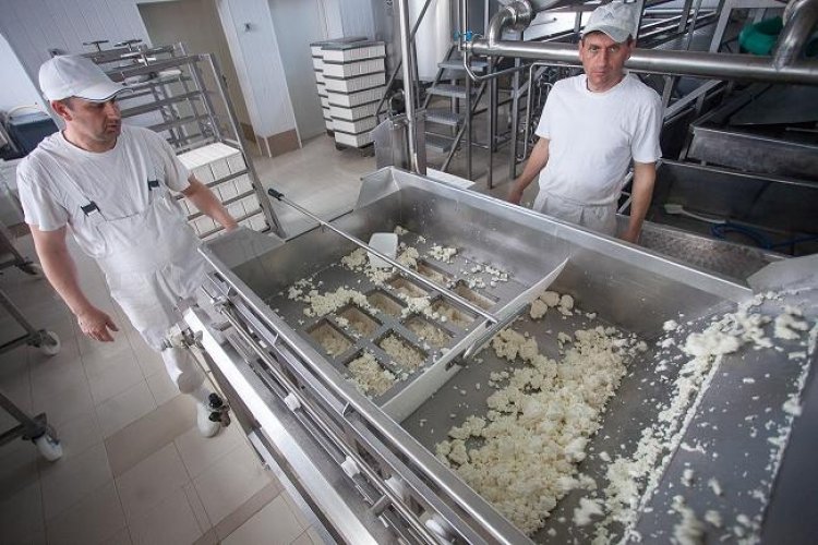 Producatorul local de lactate Unilact Transilvania – afaceri in crestere cu 16% in 2015, la peste 14 milioane de lei