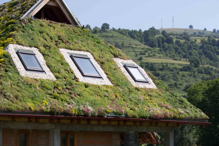 Odu.ro - Acoperis verde – Tot ce trebuie sa stii despre noile tendinte din domeniul amenajarilor exterioare
