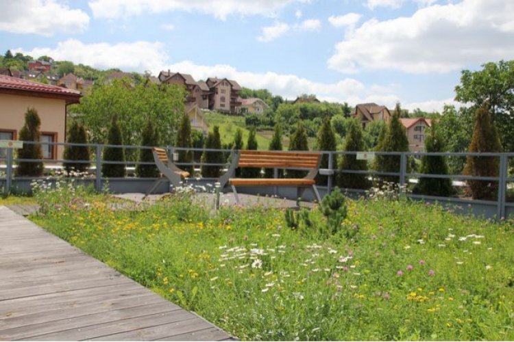 Terasa verde – o investitie catre viitor Odu Green Roof