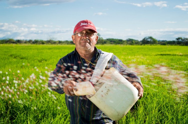 Semințele de legume de la Cropmarket schimba definiția agriculturii în România