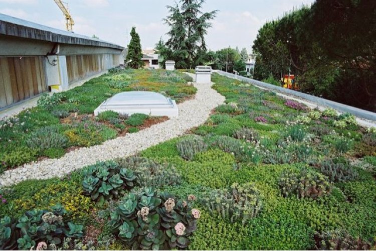 Acoperis verde intensiv Odu Green Roof