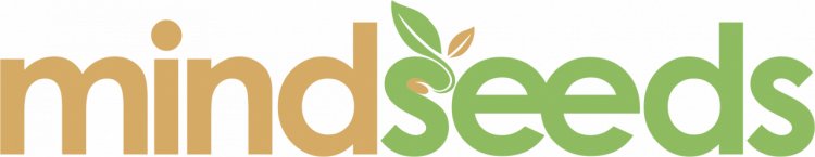 Mind Seeds League recruteaza - Bucuresti, 27 iulie 2018
