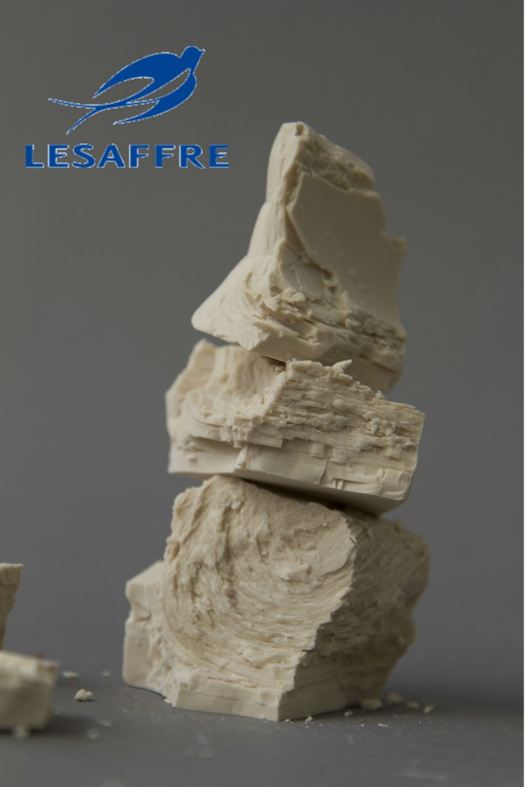 Lesaffre este producatorul drojdiei calitative