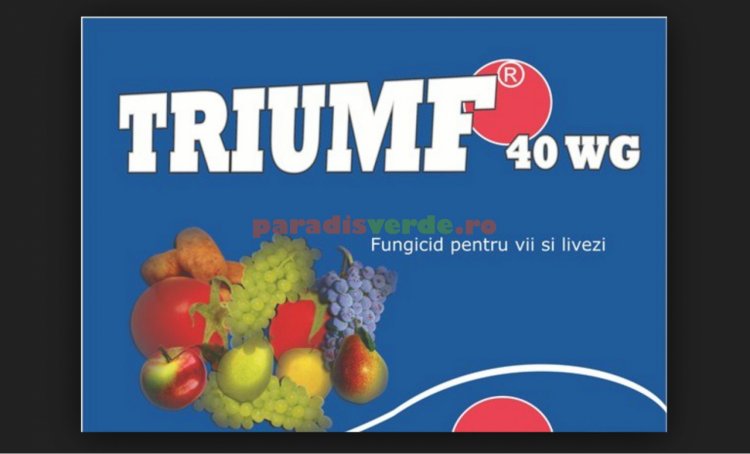 Stiti cum sa alegeti produse biofungicide eficiente?