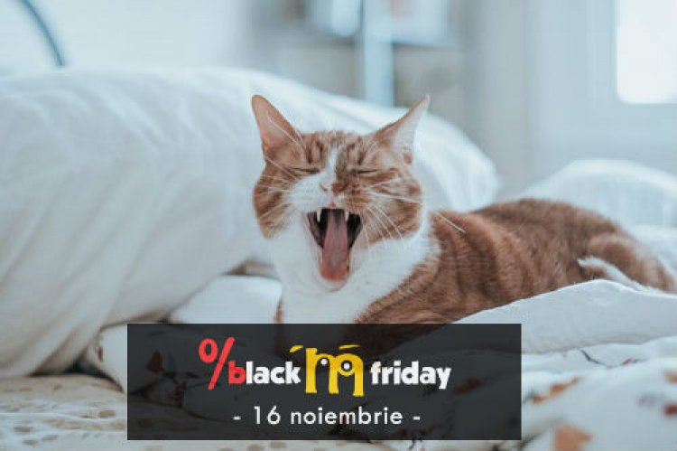 Animax organizeaza Black Friday pentru animalul tau de companie