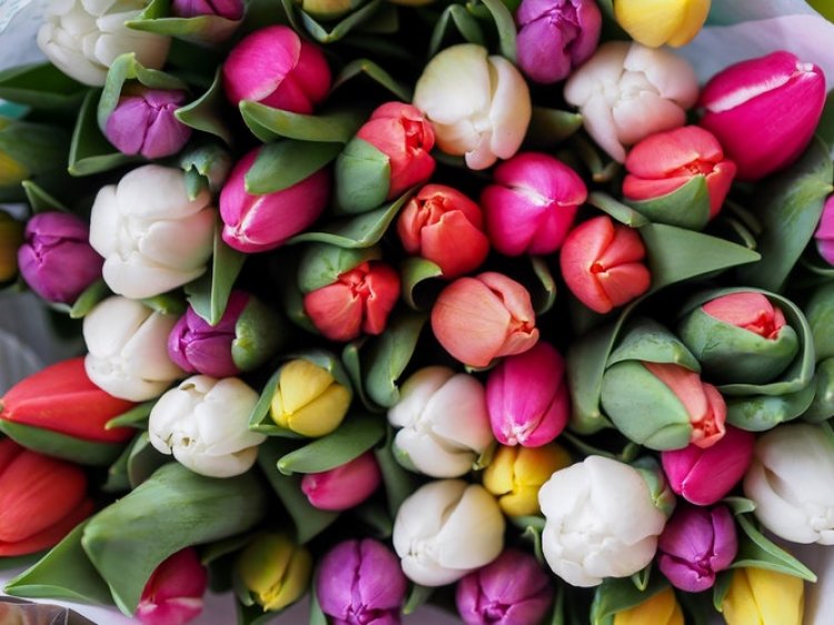 Cu o floare... se face primavara!