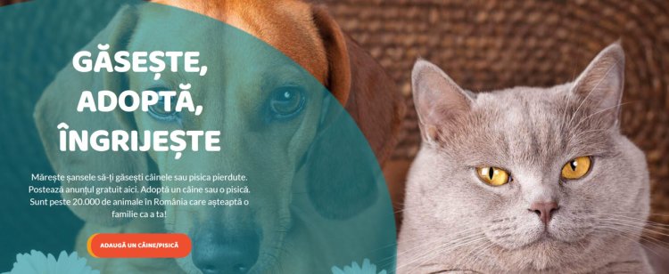 Am lansat animalepierdute.ro, unica platforma de renunire a cainilor si pisicilor cu stapanii lor