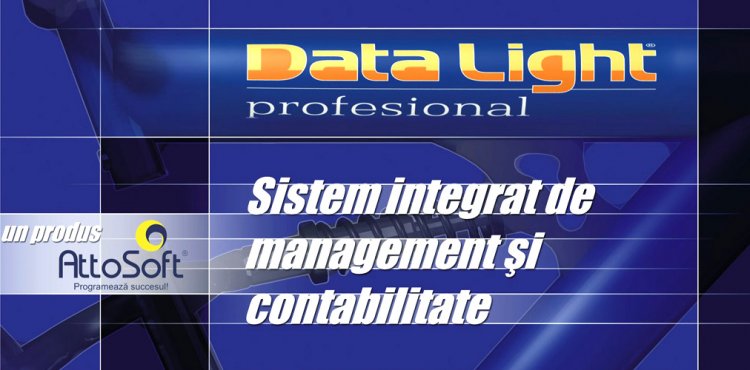 Solutii ERP pentru planificarea resurselor organizatiei