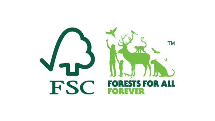 Importanța certificării forestiere FSC pentru mediul înconjurător