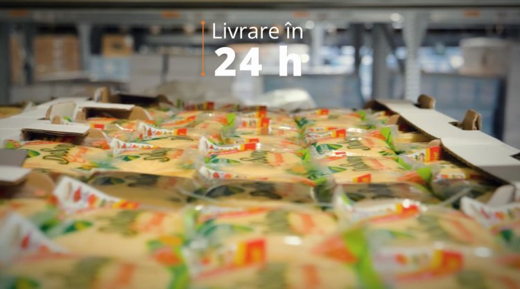 Delaco a crescut cu 25% productivitatea angajatilor