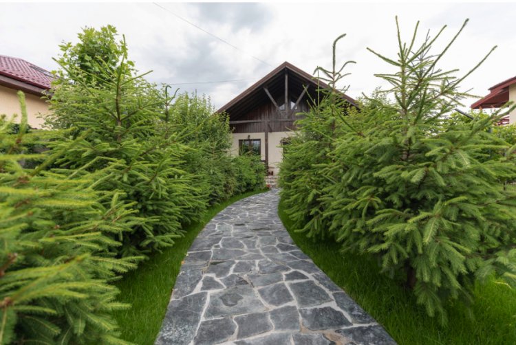 Piatra naturală, soluția sustenabilă pentru curți și grădină