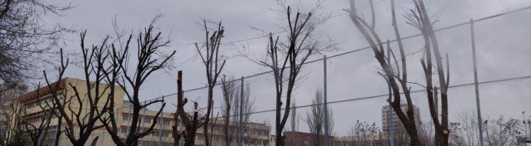 Spectrum Eco Construct SRL lanseaza noul site dedicat toaletaricopaci.ro