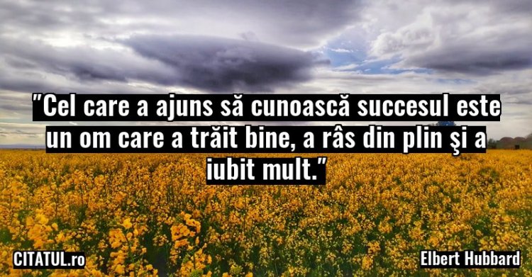 Citate online