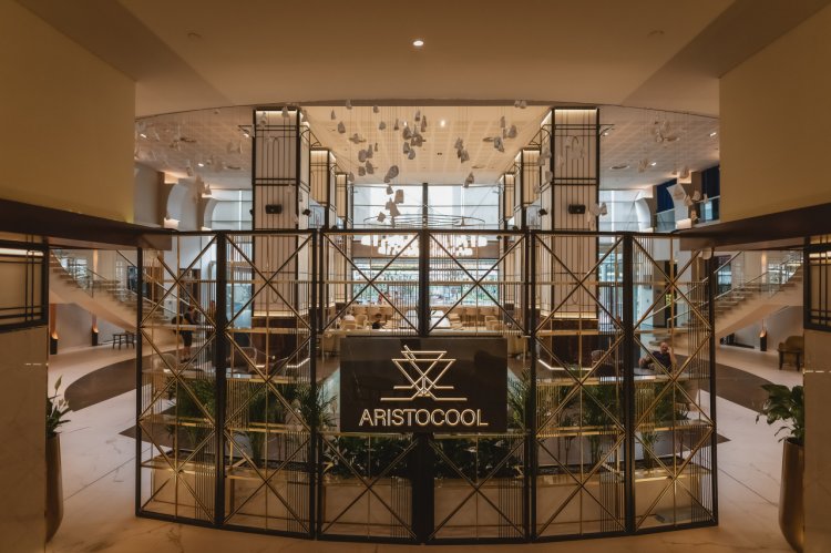Radisson Blu Hotel, București – concept design interior lobby