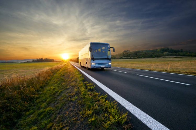 Servicii profesionale de transport și în România