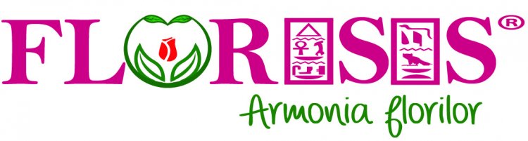 5 lucruri de verificat la o florarie online