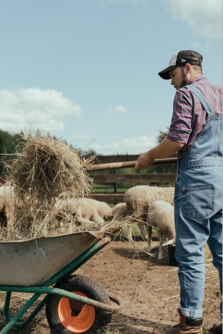 5 echipamente utile pentru orice fermier