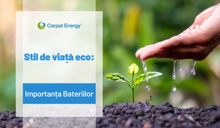 Stil de viață eco: importanța bateriilor