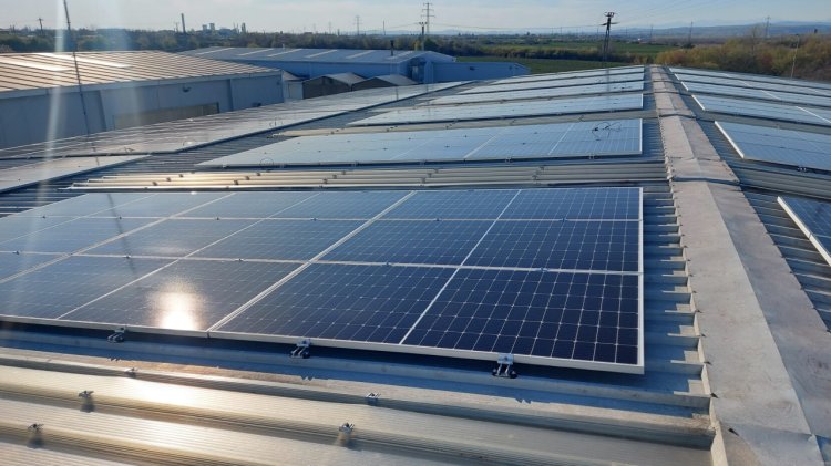 Proleasing Motors își reduce amprenta de CO2 cu peste 400 tone pe an