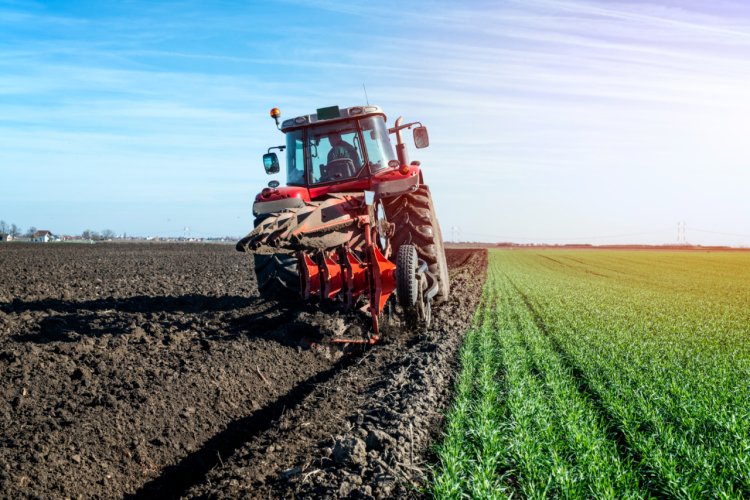Cum să îți deschizi o afacere agricolă de succes