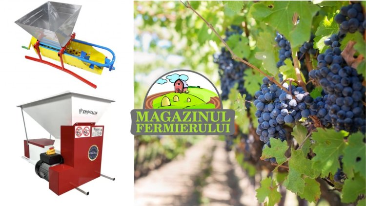 Sfaturi pentru un vin de calitate obtinut acasa