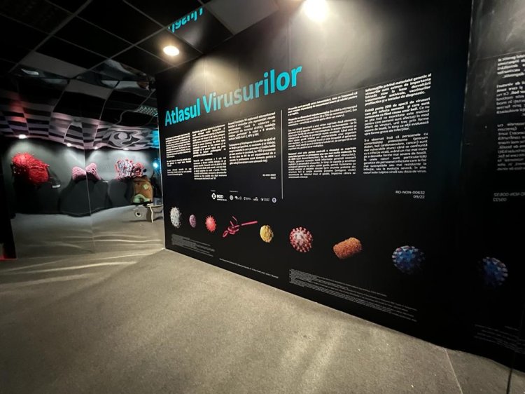Atlasul Virusurilor, prima expoziție 3D din România care explorează universul invizibil al virusurilor, inaugurată la Art Sa