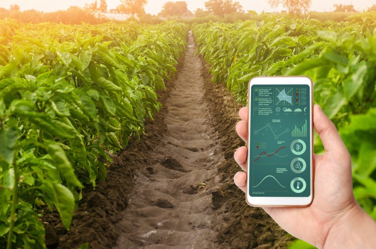 5 idei de a-ti dezvolta afacerea in agricultura