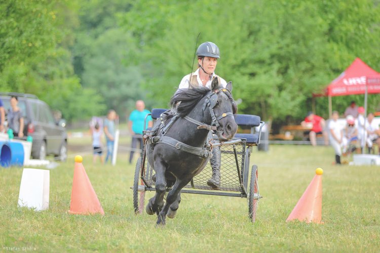 Celebrități și ponei la Karpatia Pony Show