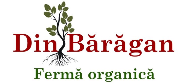 Din Bărăgan: Îmbrățișând Tradiția și Natura în Fiecare Produs