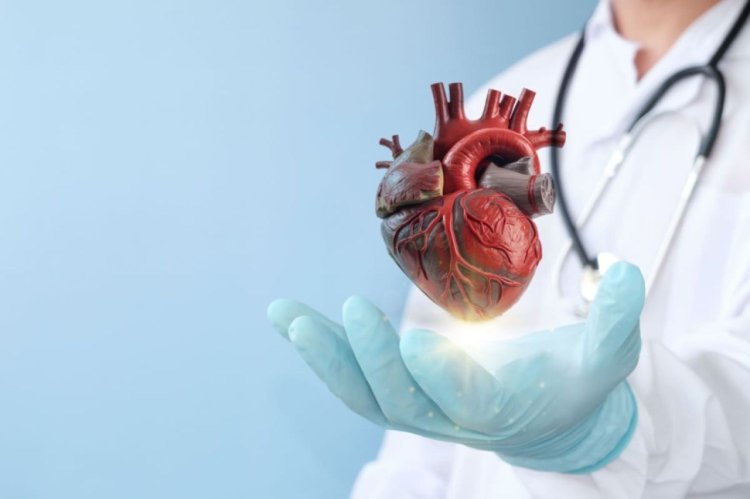 Cum să alegi cea mai bună clinică de cardiologie din zona ta: factori de luat în considerare