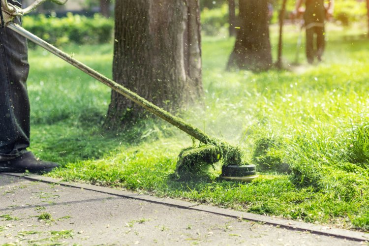 Motocoasă pe benzină: soluția eficientă pentru vegetație densă și terenuri dificile