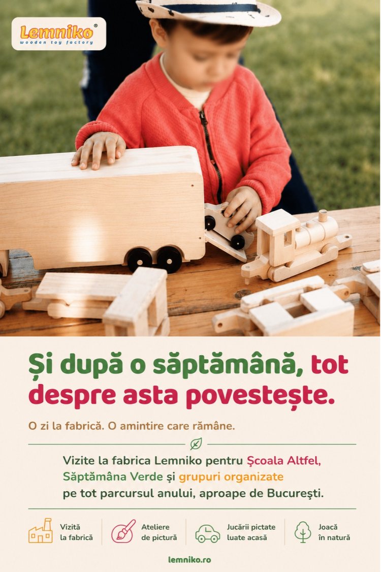 Lemniko – fabrica de jucării din lemn care transformă Școala Altfel și Săptămâna Verde în experiențe memorabile
