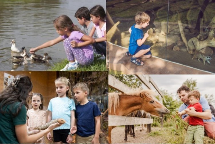 „Focus to green eco life” aduce natura mai aproape de comunitatea din București