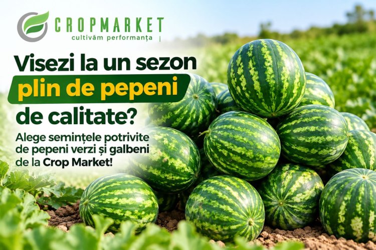 Visezi la un sezon plin de pepeni de calitate? Alege semințele potrivite de pepeni verzi și galbeni de la Crop Market!